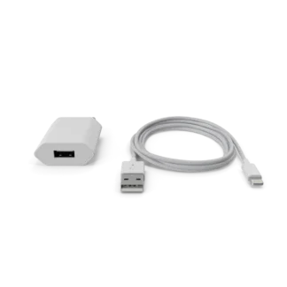 Apple iPhone Charger