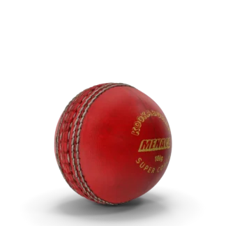 Cricket Ball