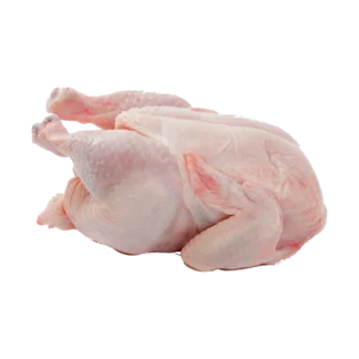 Chicken Meat