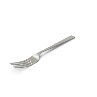Fork